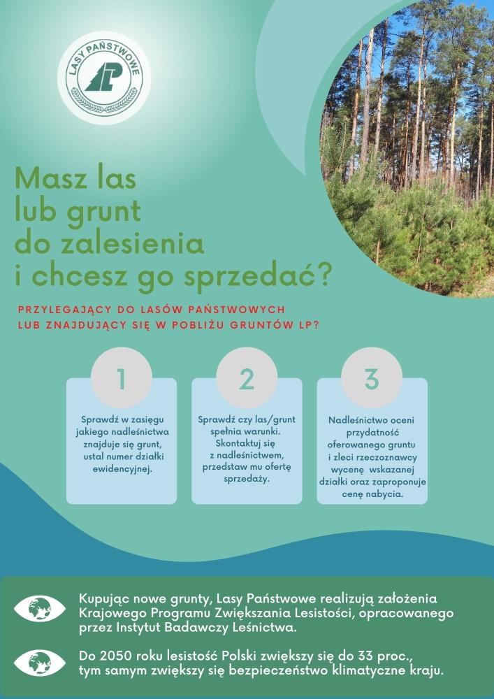 Masz las lub grunt do zalesienia i chcesz go sprzedać?